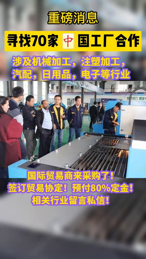 從國內貿易代理到跨境電商 數(shù)字化浪潮下的轉型與機遇